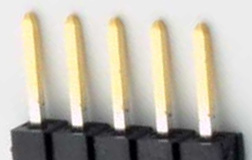 5 pin single row male photo and diagram